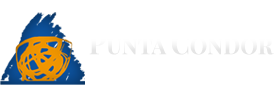 Punta Condor