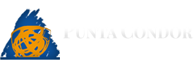 Logo Punta Condor
